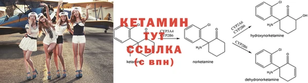 амф Алзамай