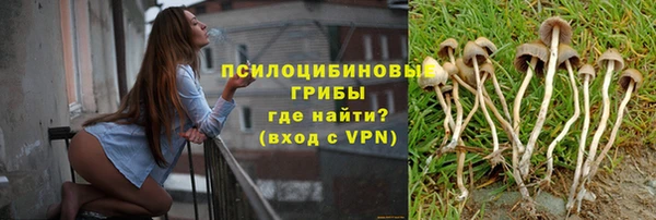 амф Алзамай
